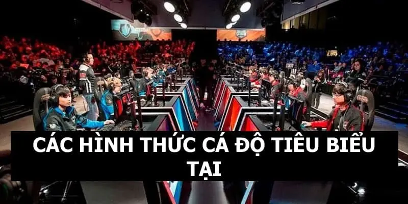 IA E-SPORTS QQ88 - Sảnh Cược Uy Tín Nhiều Kèo Tỷ Lệ Thưởng Cao 3 Những hình thức cá độ thường thấy tại sảnh thể thao điện tử IA